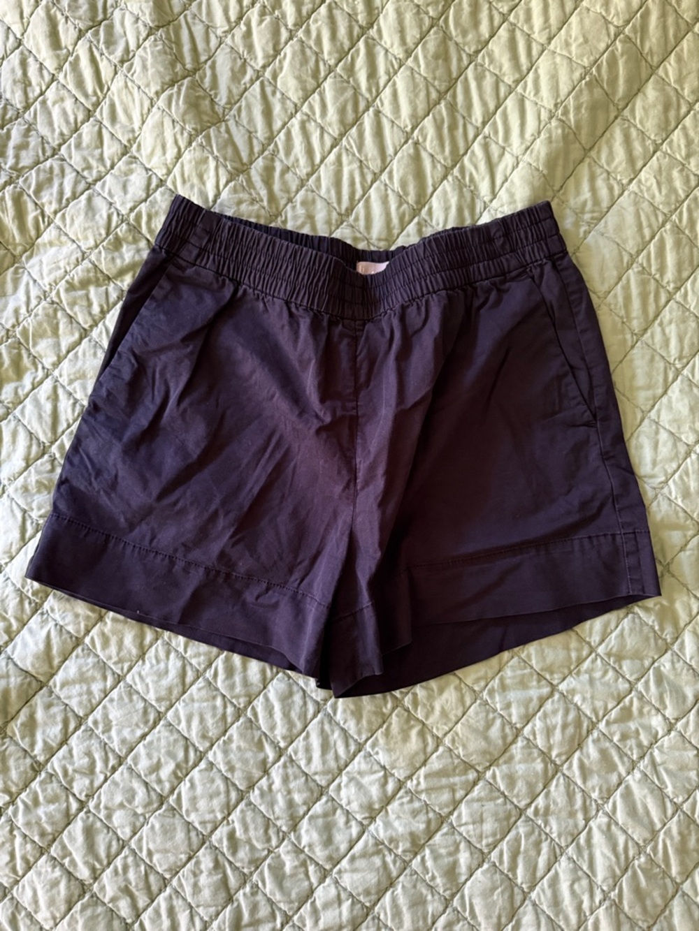 Everlane Women's Black Elastic-Waist Shorts 8